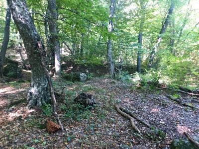 Прикрепленное изображение: 003.jpg